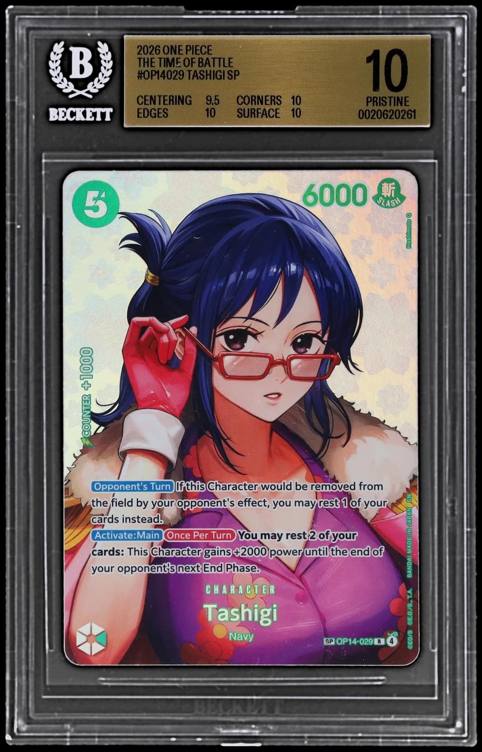 Tashigi Sp