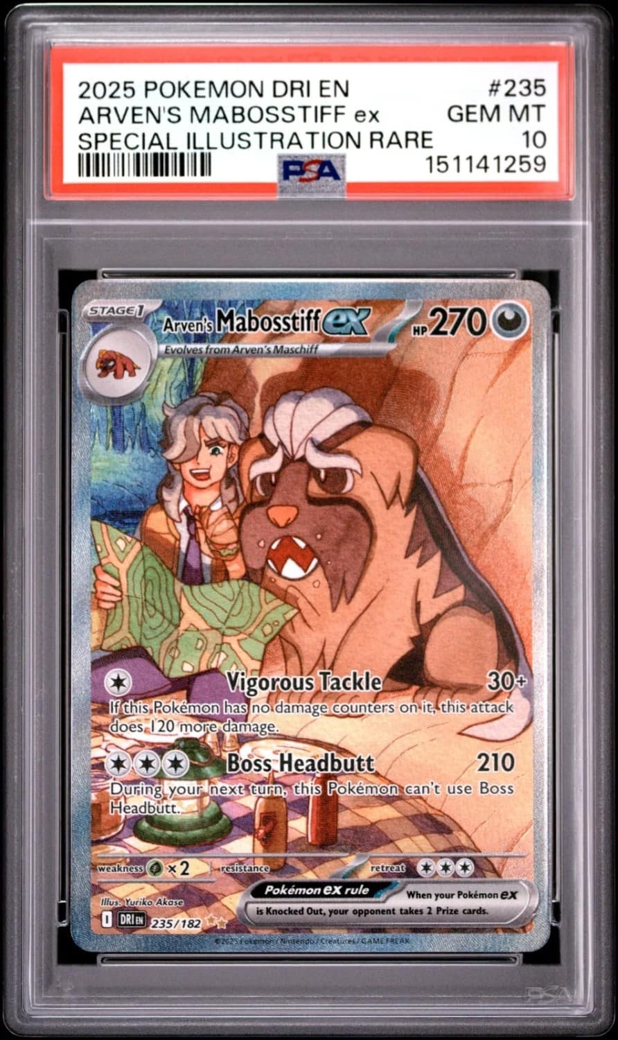 Arven'S Mabosstiff Ex