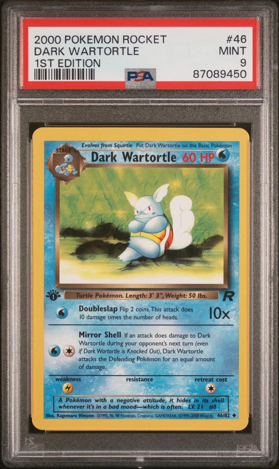 Dark Wartortle
