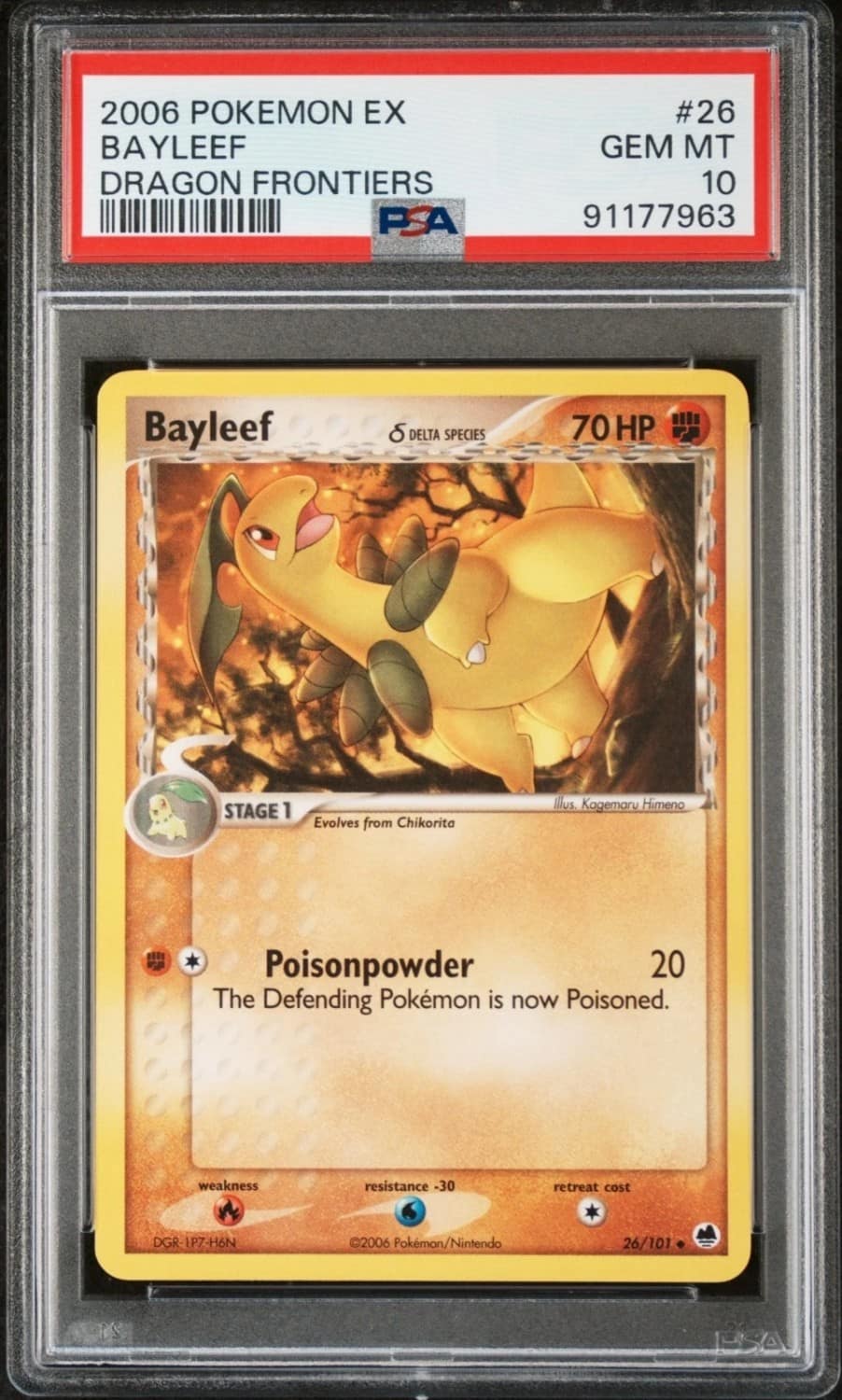 Bayleaf δ