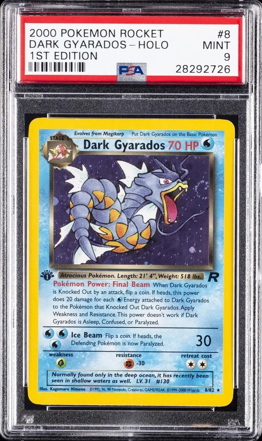 Dark Gyarados