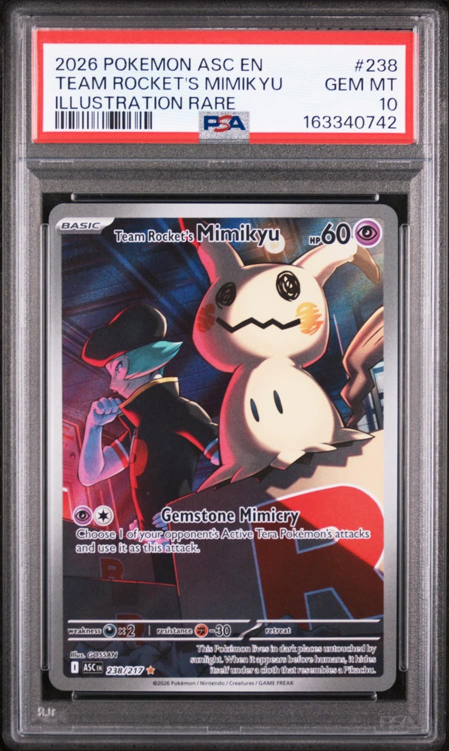 Team Rocket'S Mimikyu