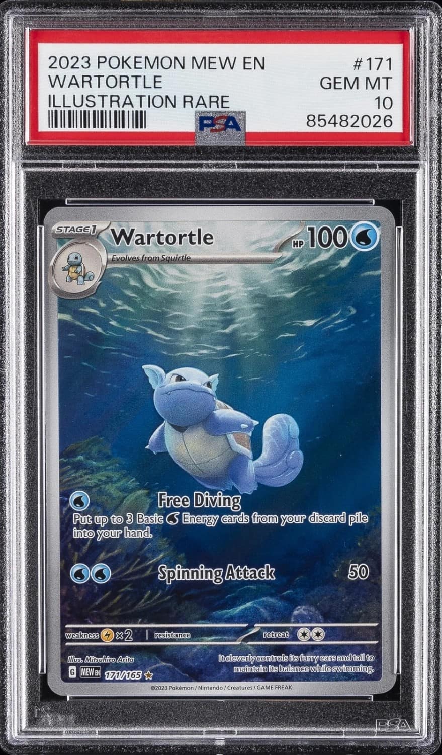 Wartortle