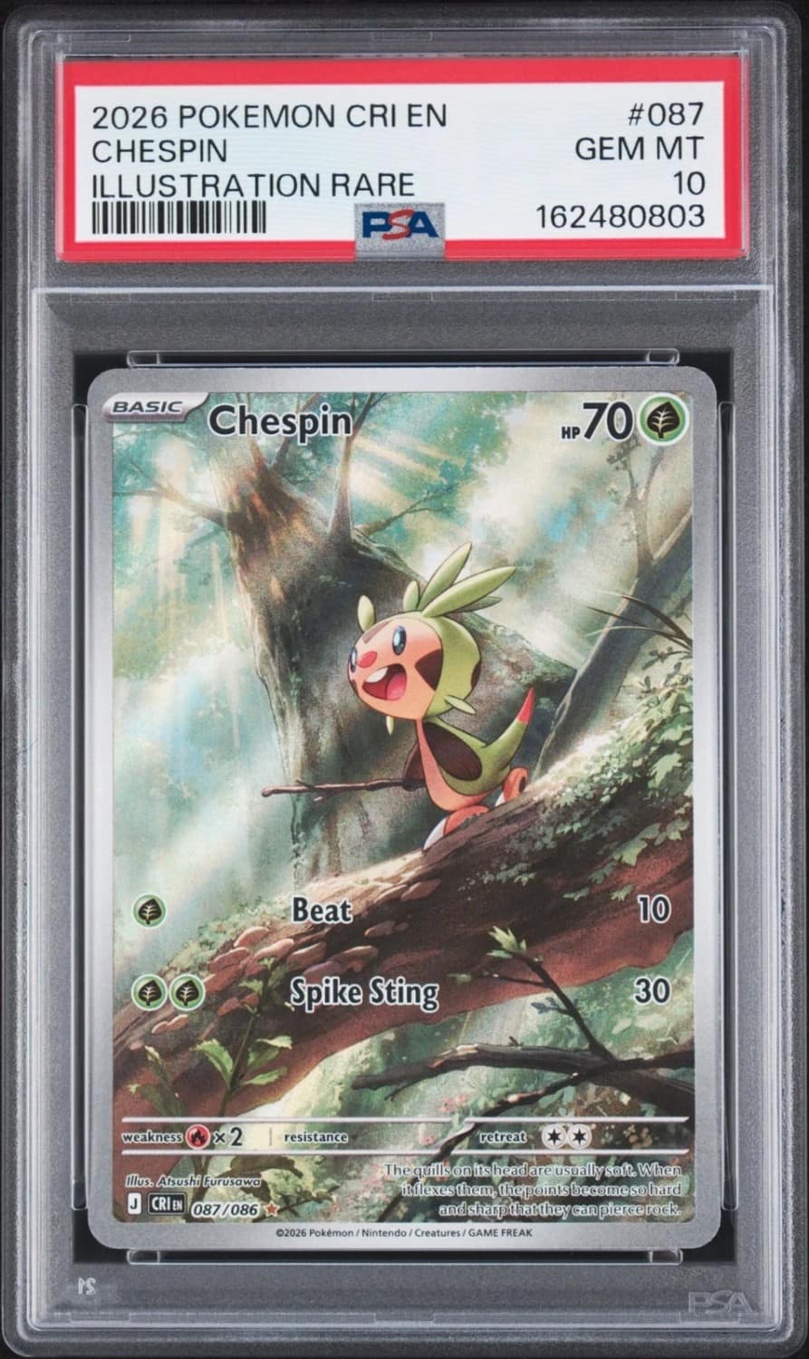 Chespin