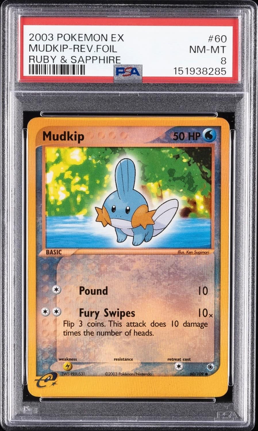 Mudkip