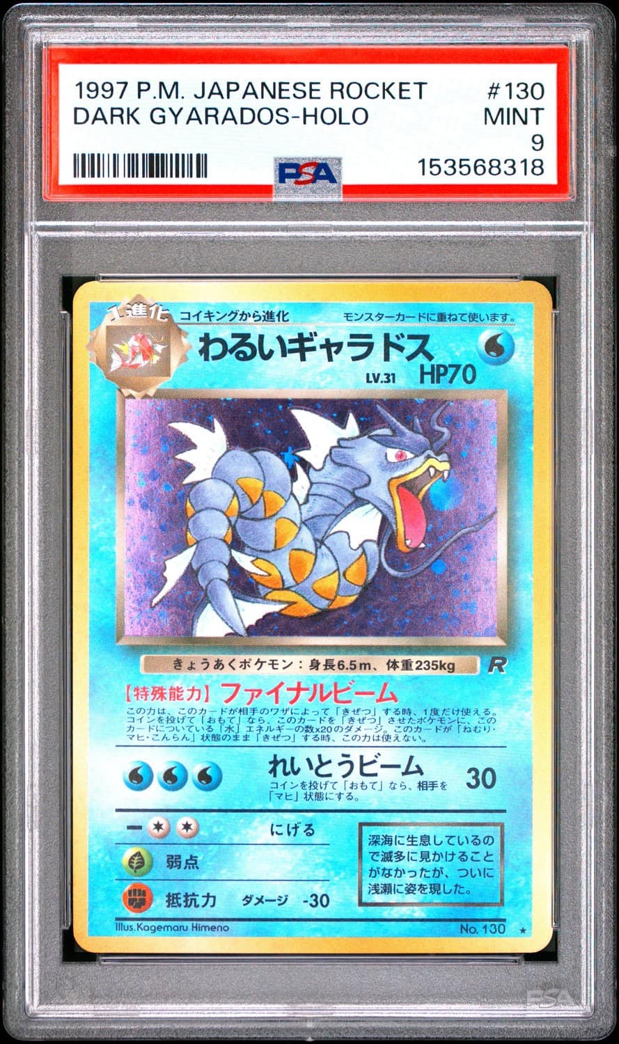 Dark Gyarados