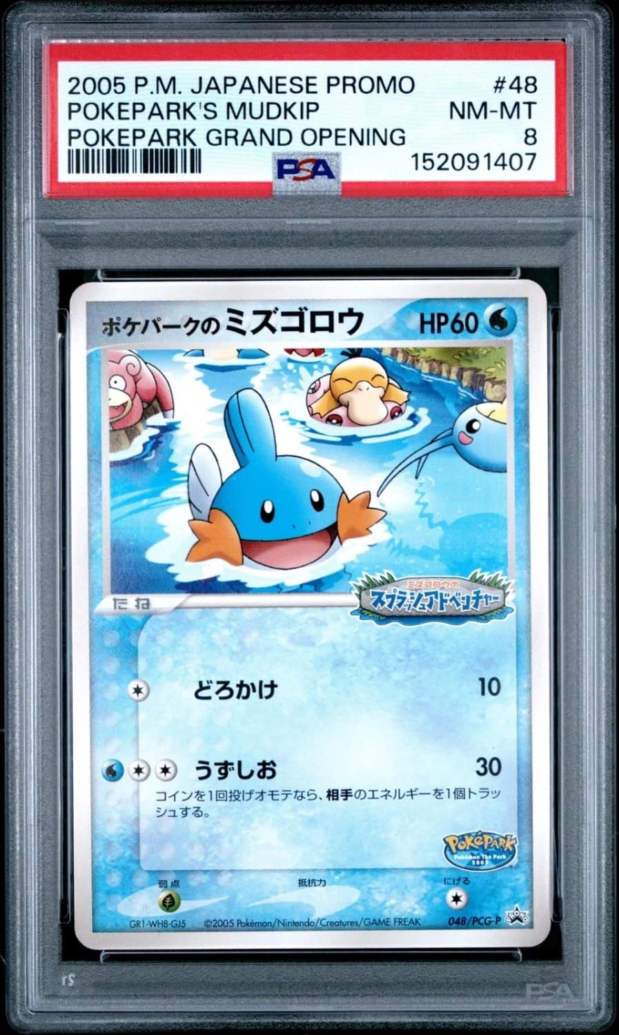 Pokepark'S Mudkip