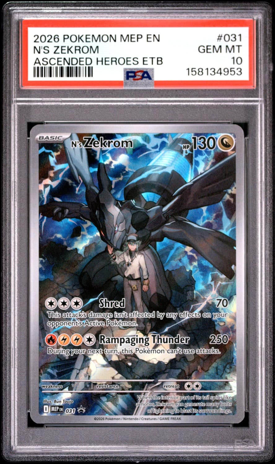 N'S Zekrom