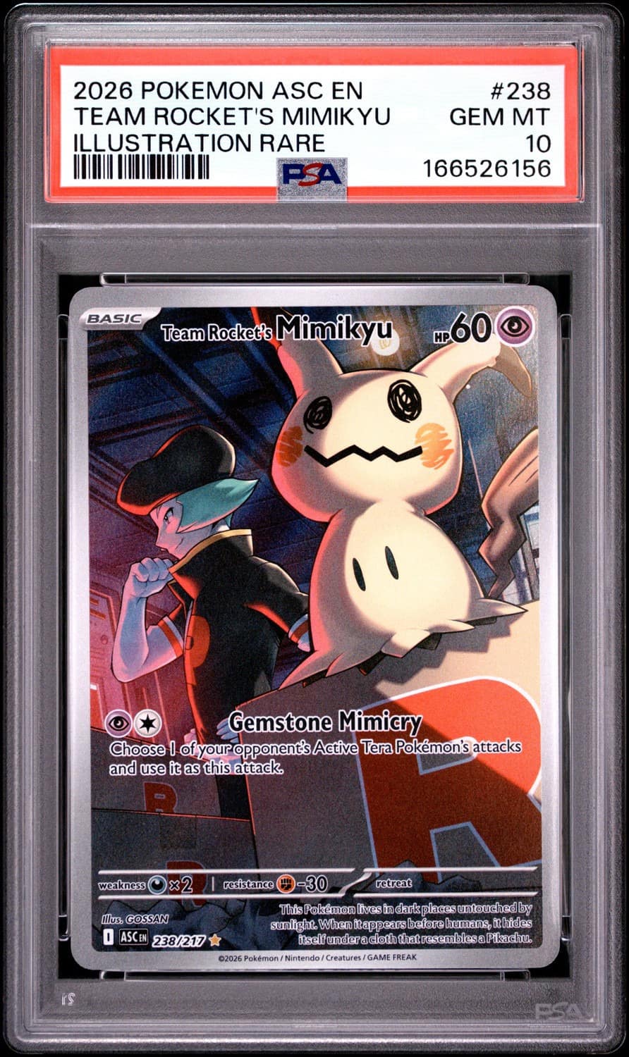 Team Rocket'S Mimikyu