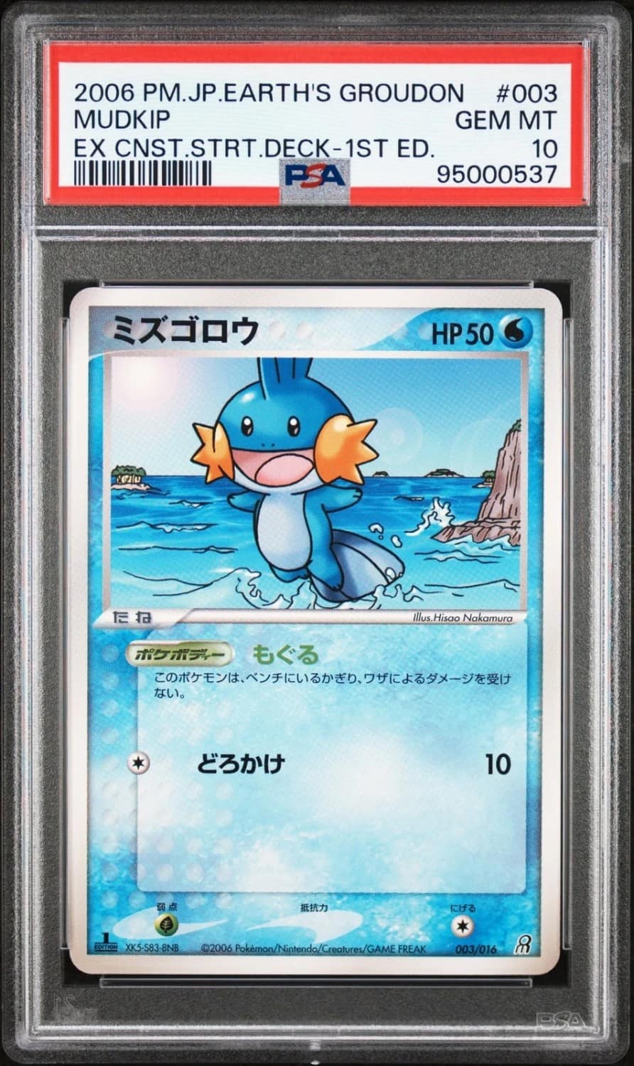 Mudkip