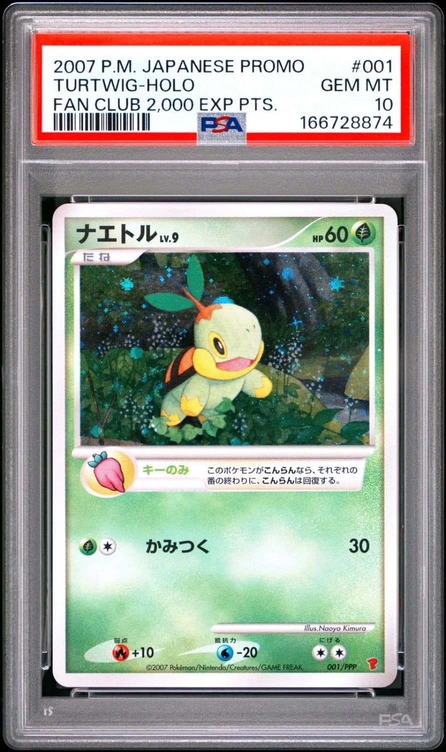 Turtwig