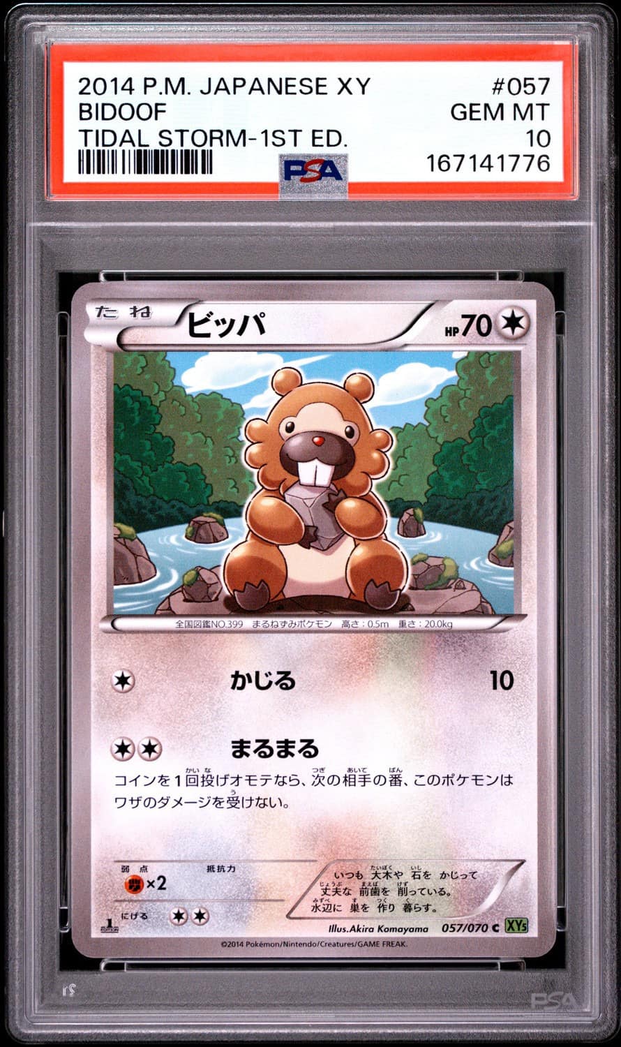 Bidoof