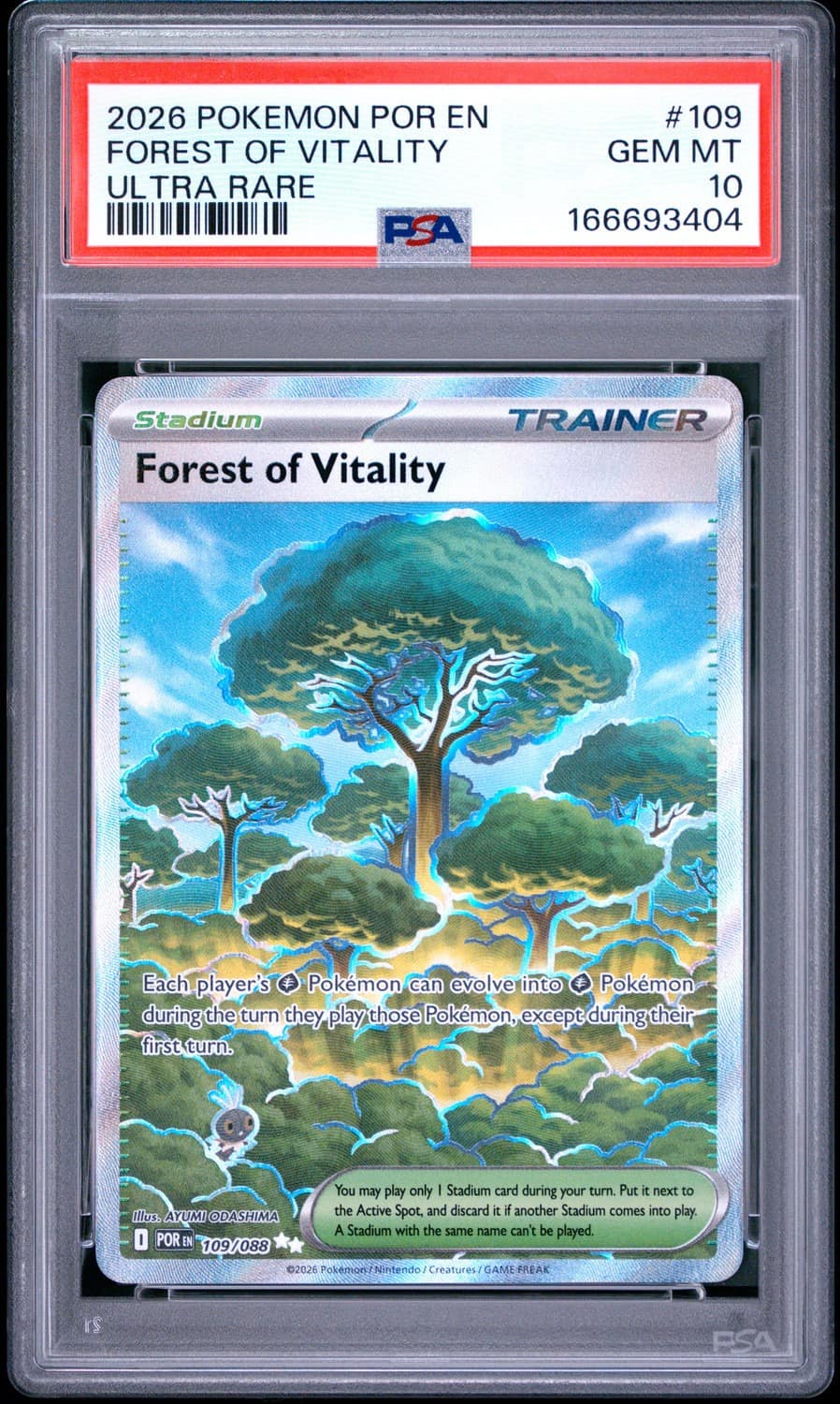 Forest Of Vitality