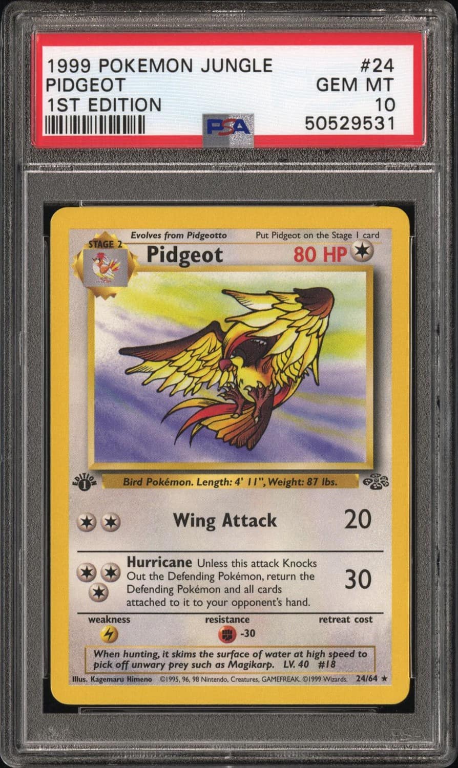 Pidgeot