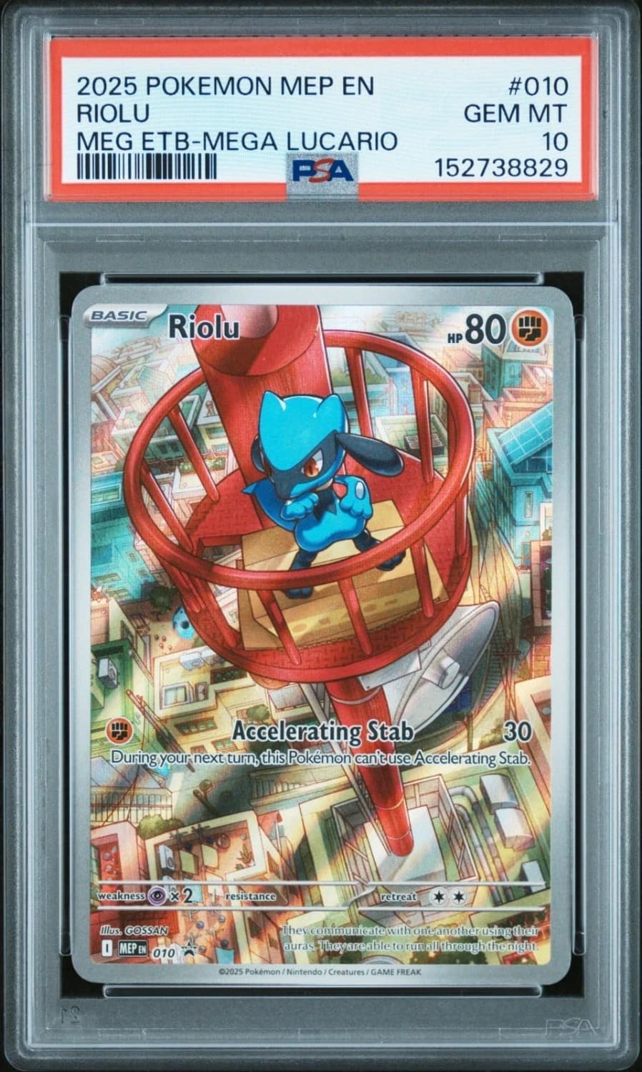 Riolu