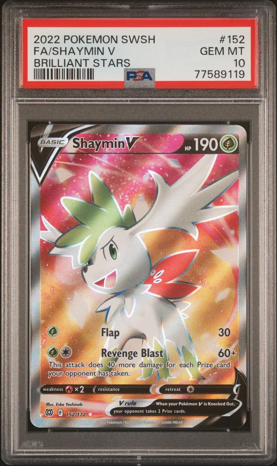 Shaymin V