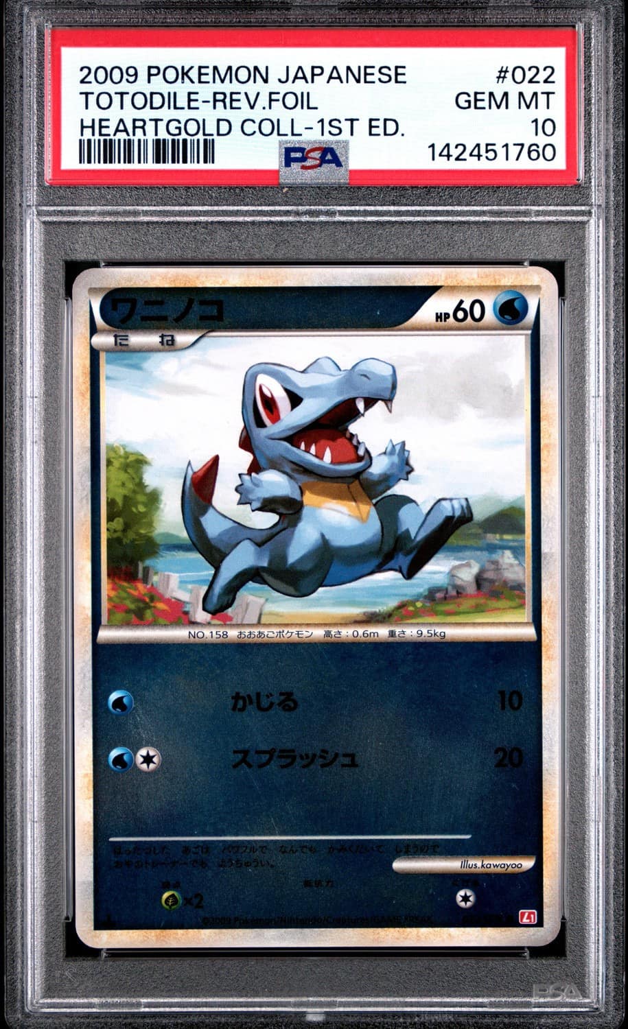 Totodile