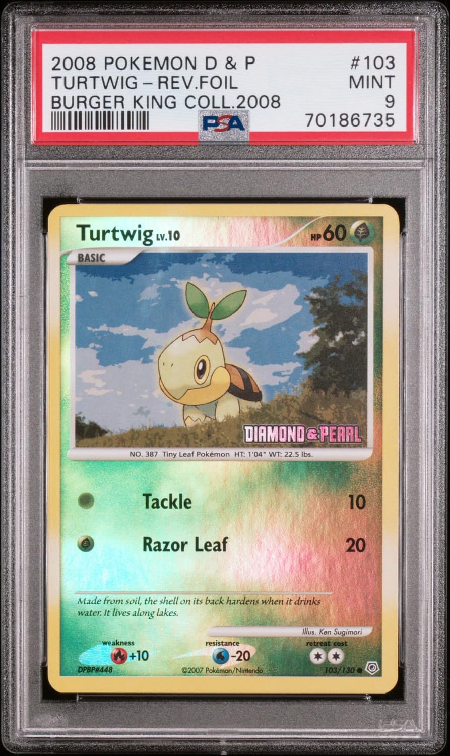 Turtwig