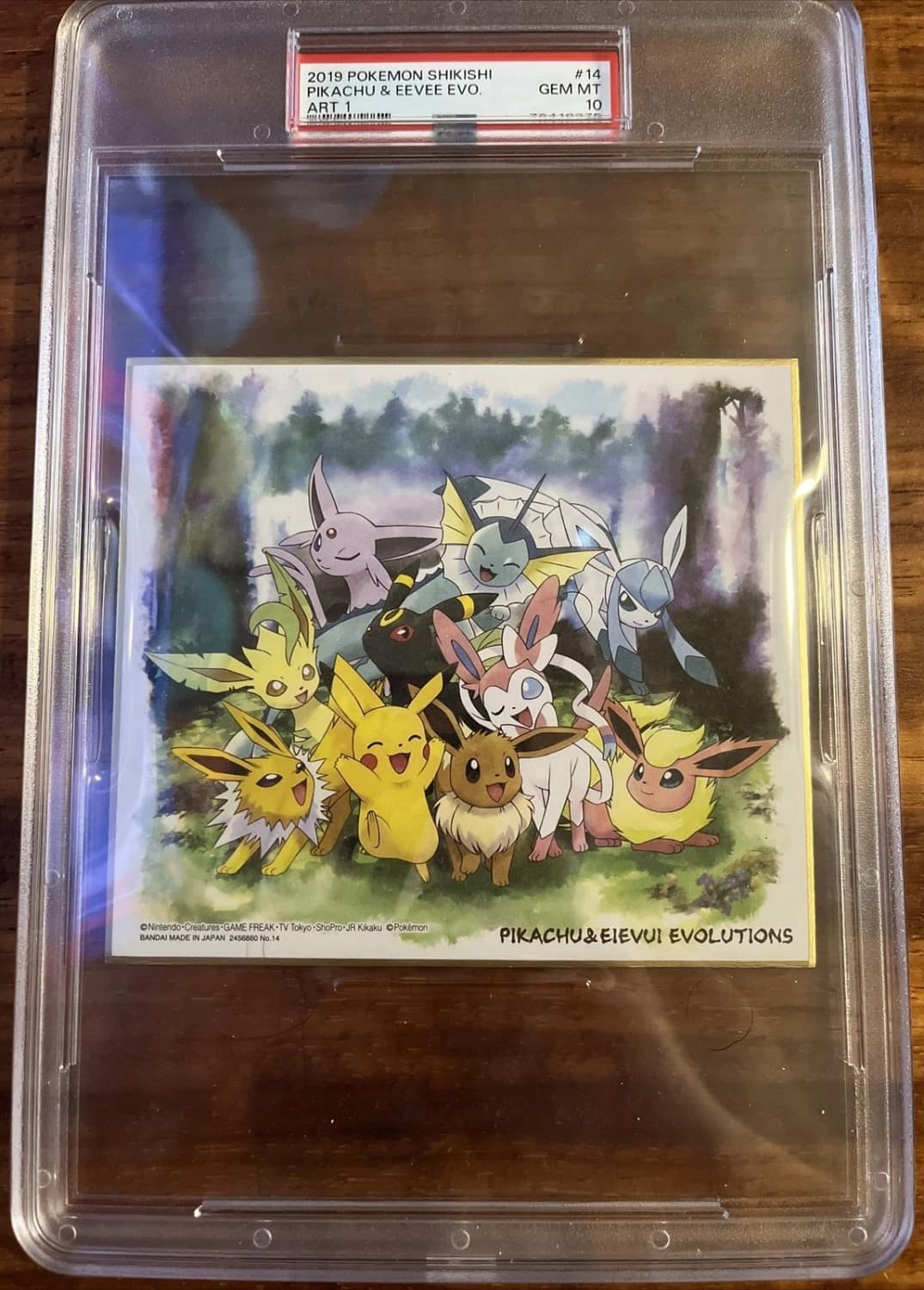 Pikachu & Eevee Evo