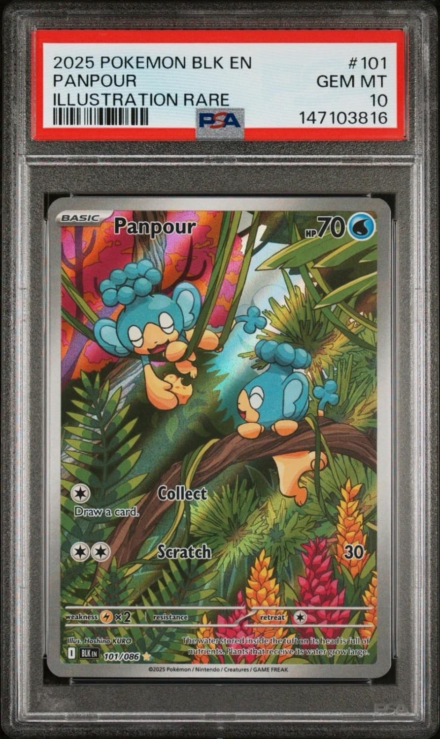 Panpour