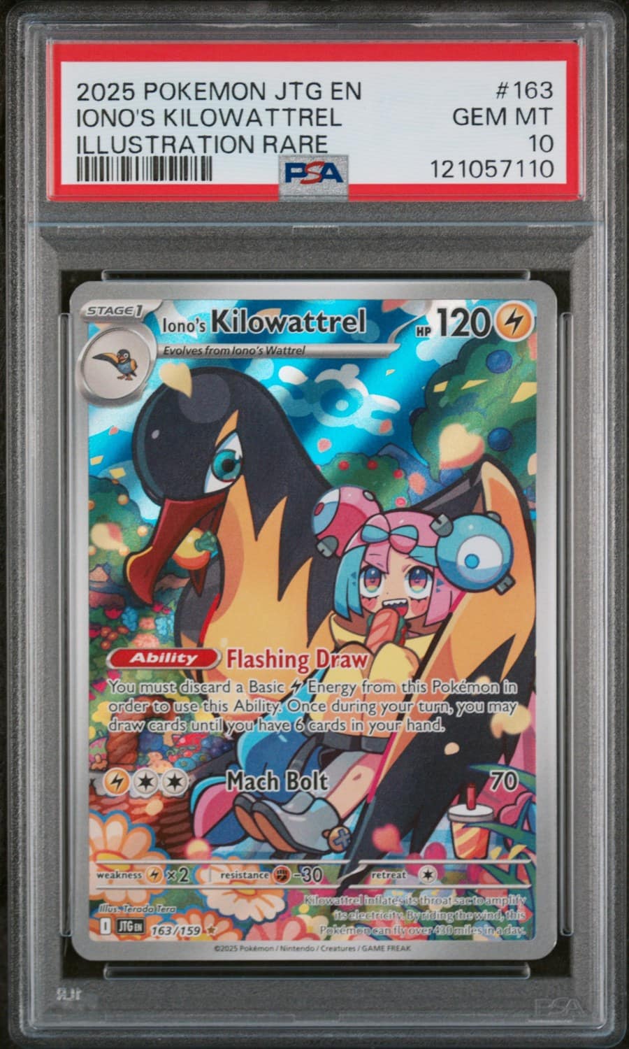 Iono'S Kilowattrel