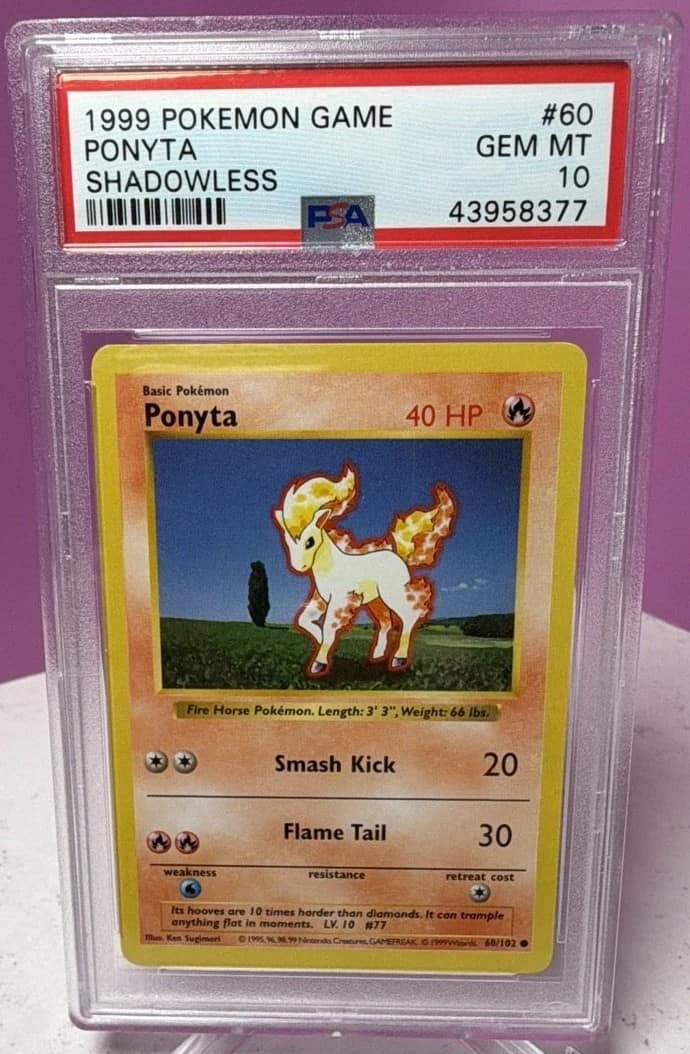 Ponyta