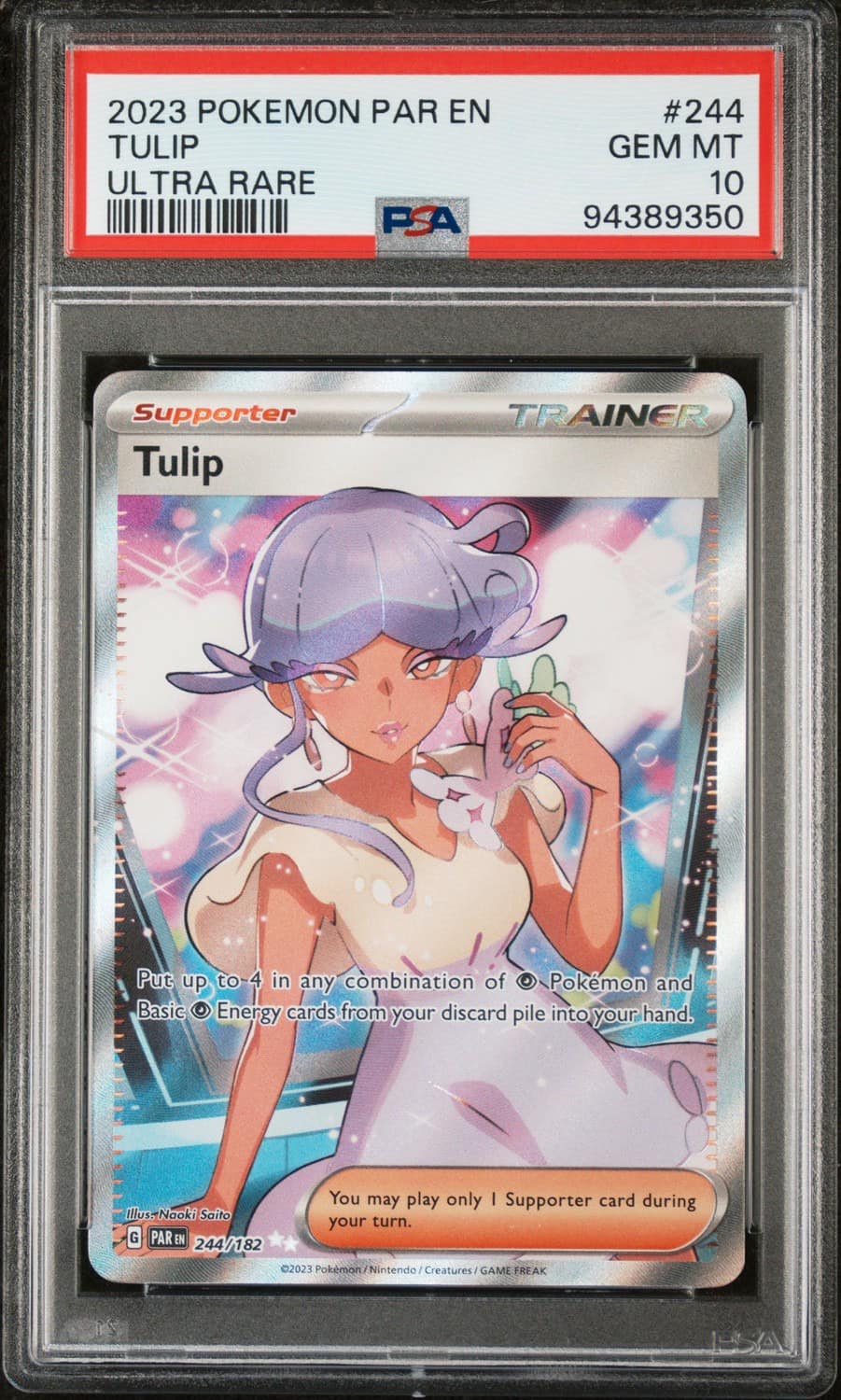 Tulip