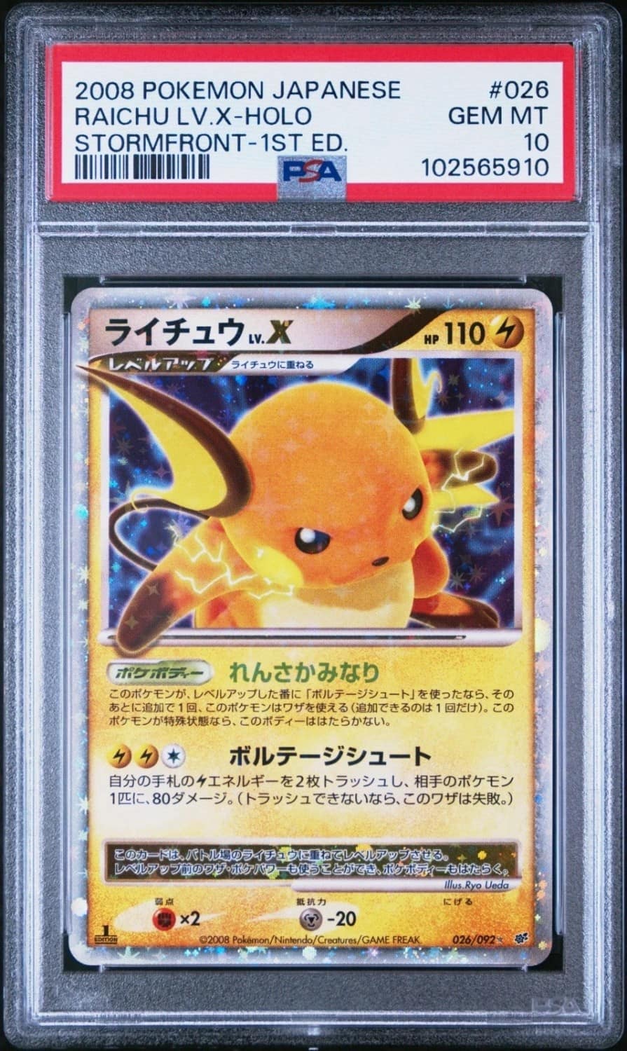 Raichu Lv.x
