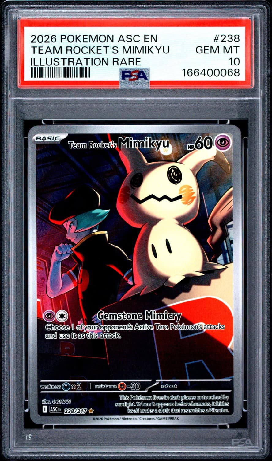 Team Rocket'S Mimikyu