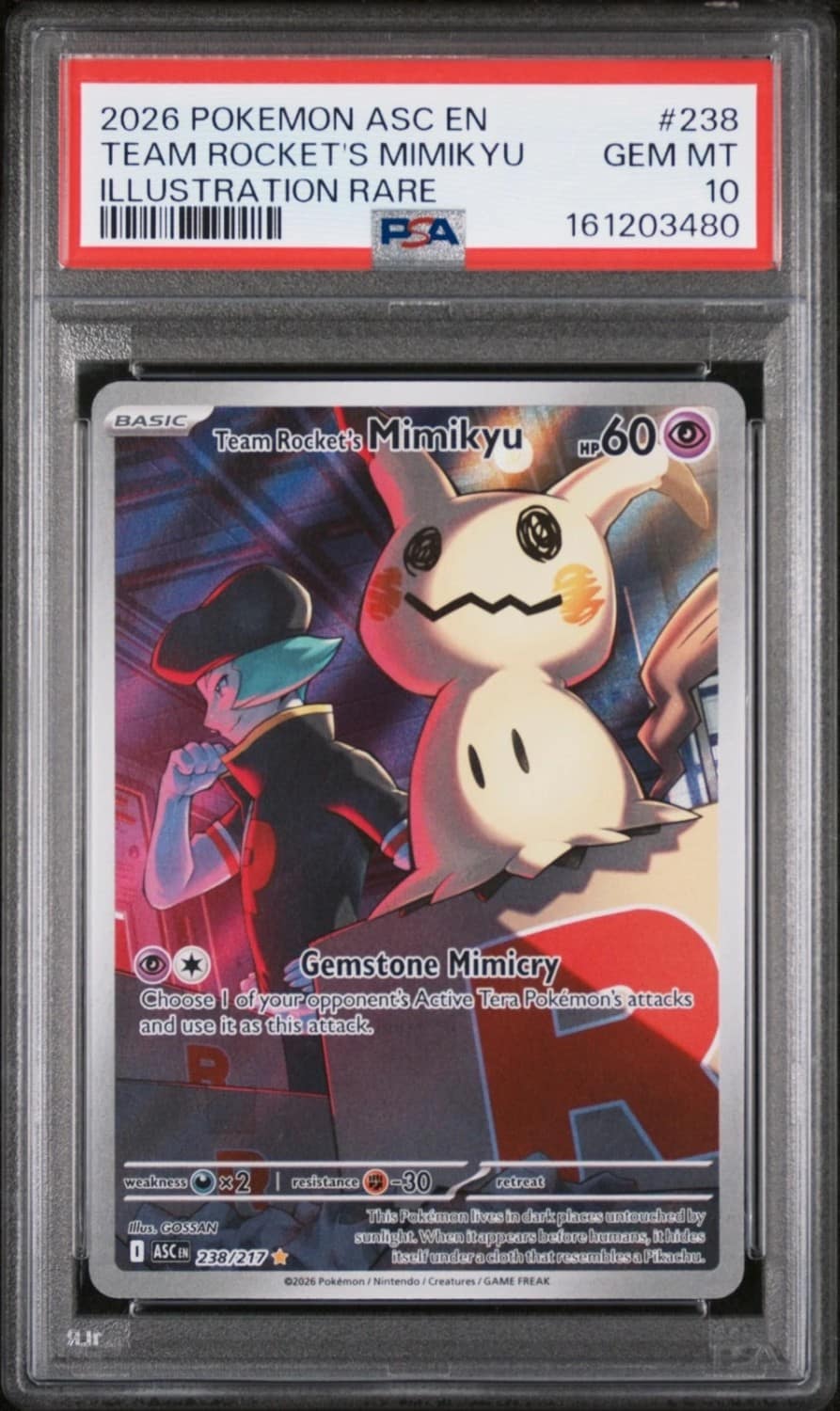 Team Rocket'S Mimikyu