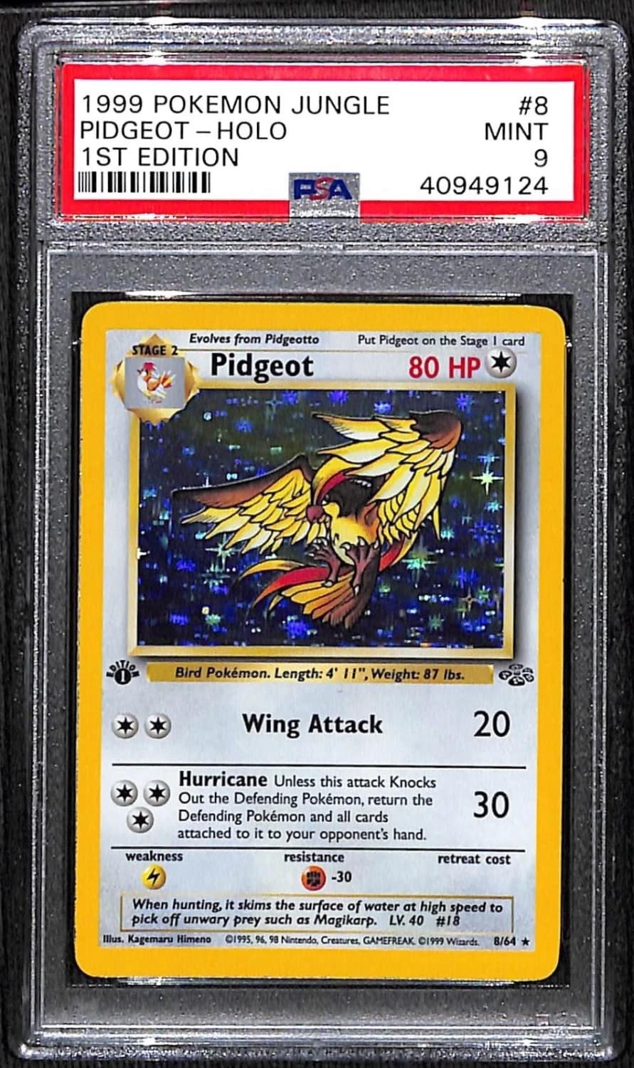 Pidgeot