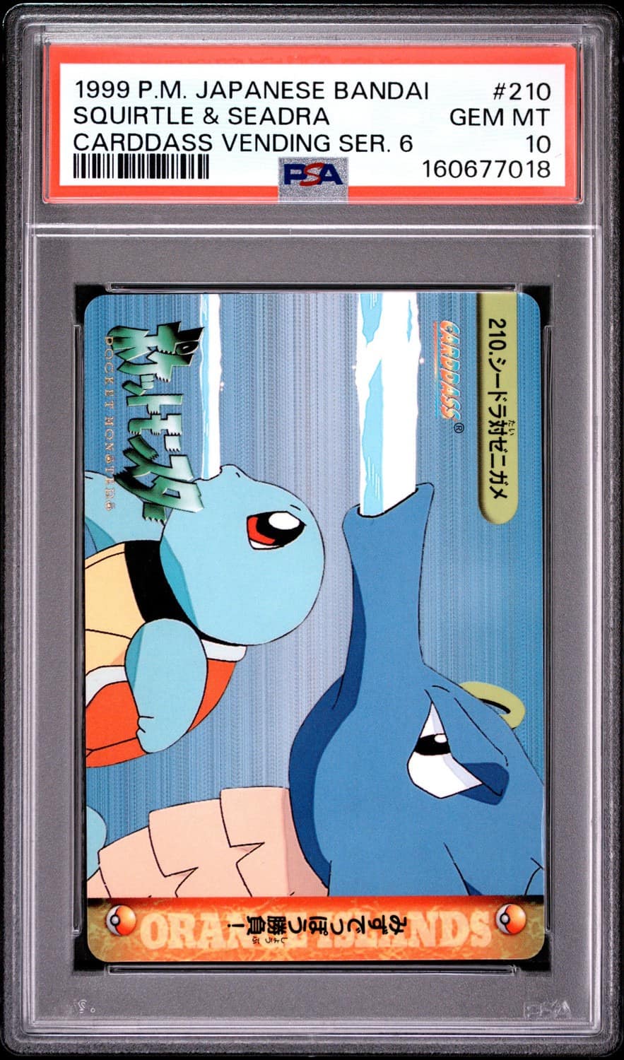 Squirtle & Seadra
