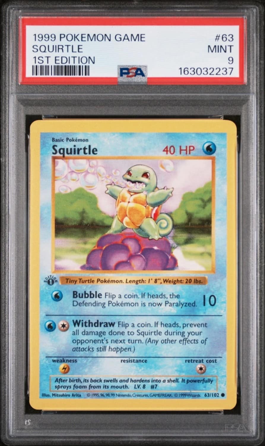 Squirtle