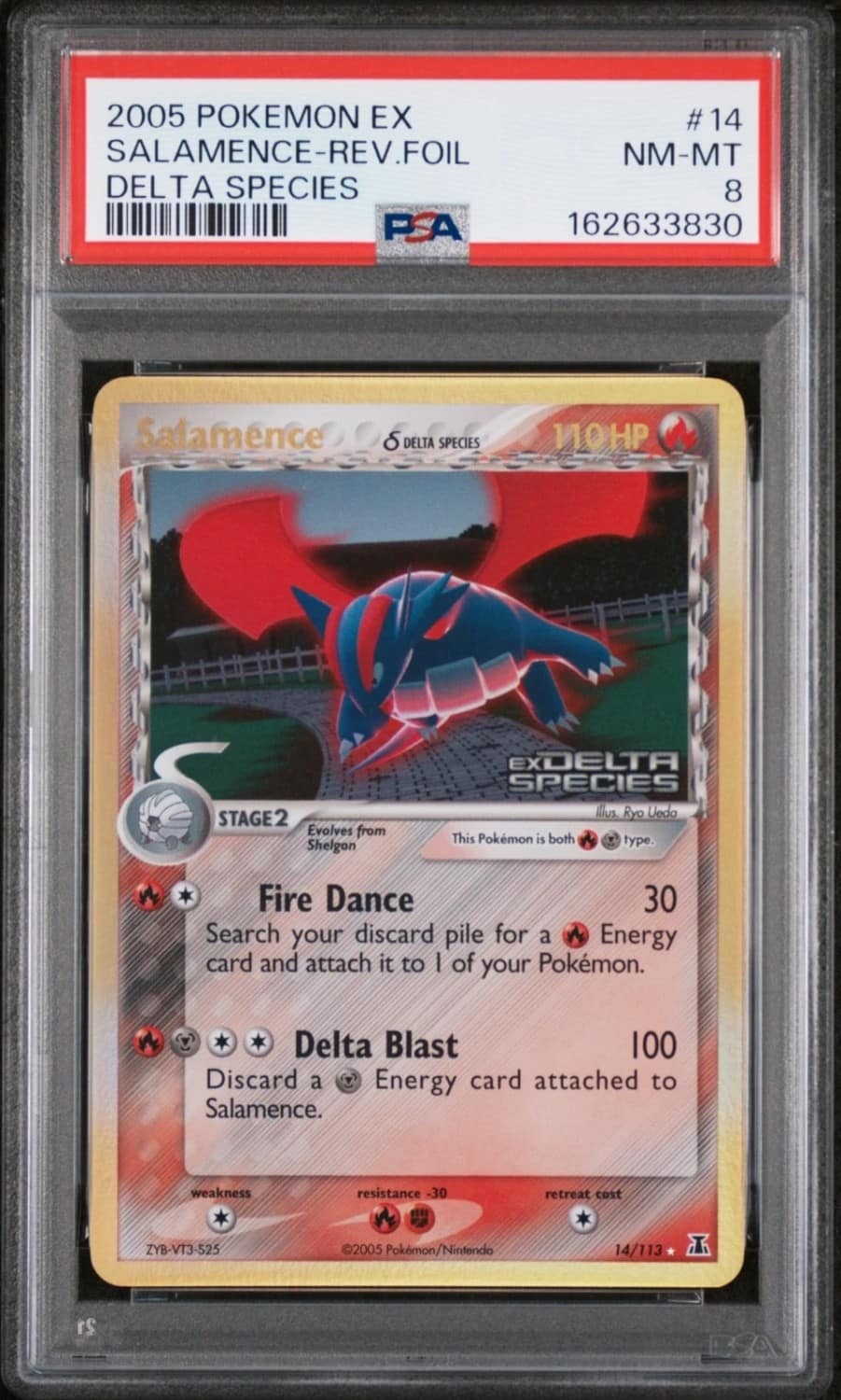 Salamence