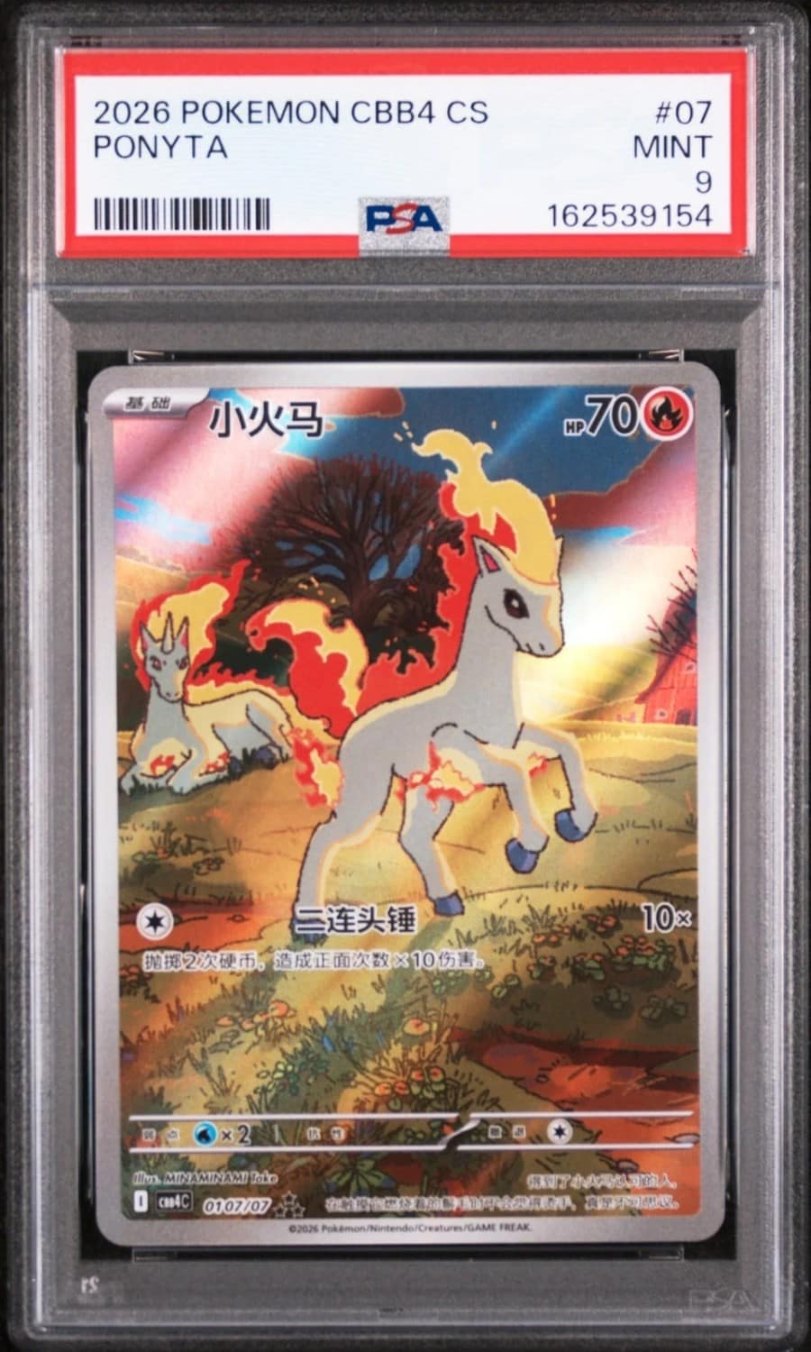 Ponyta