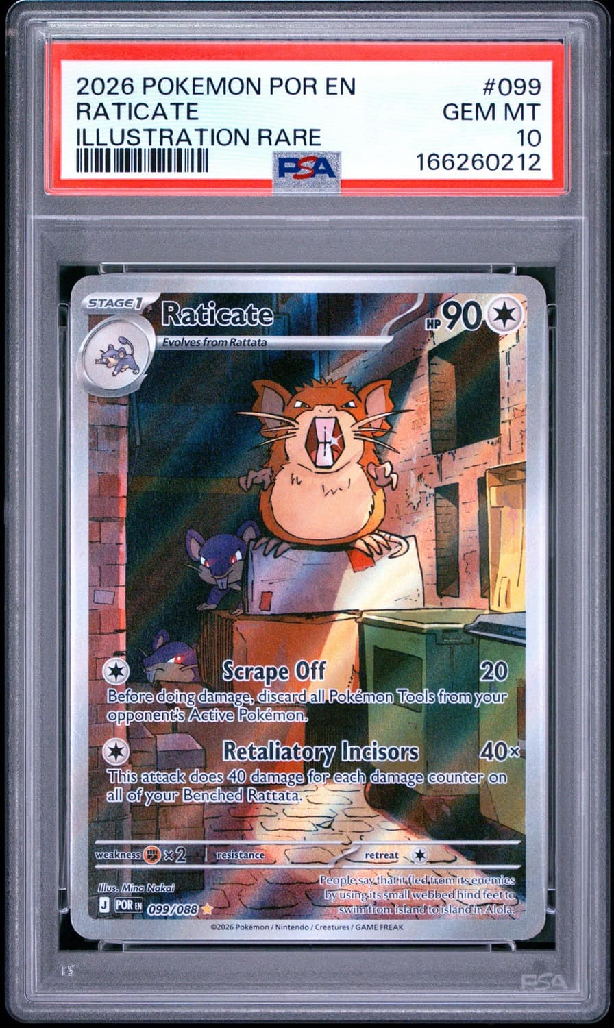 Raticate