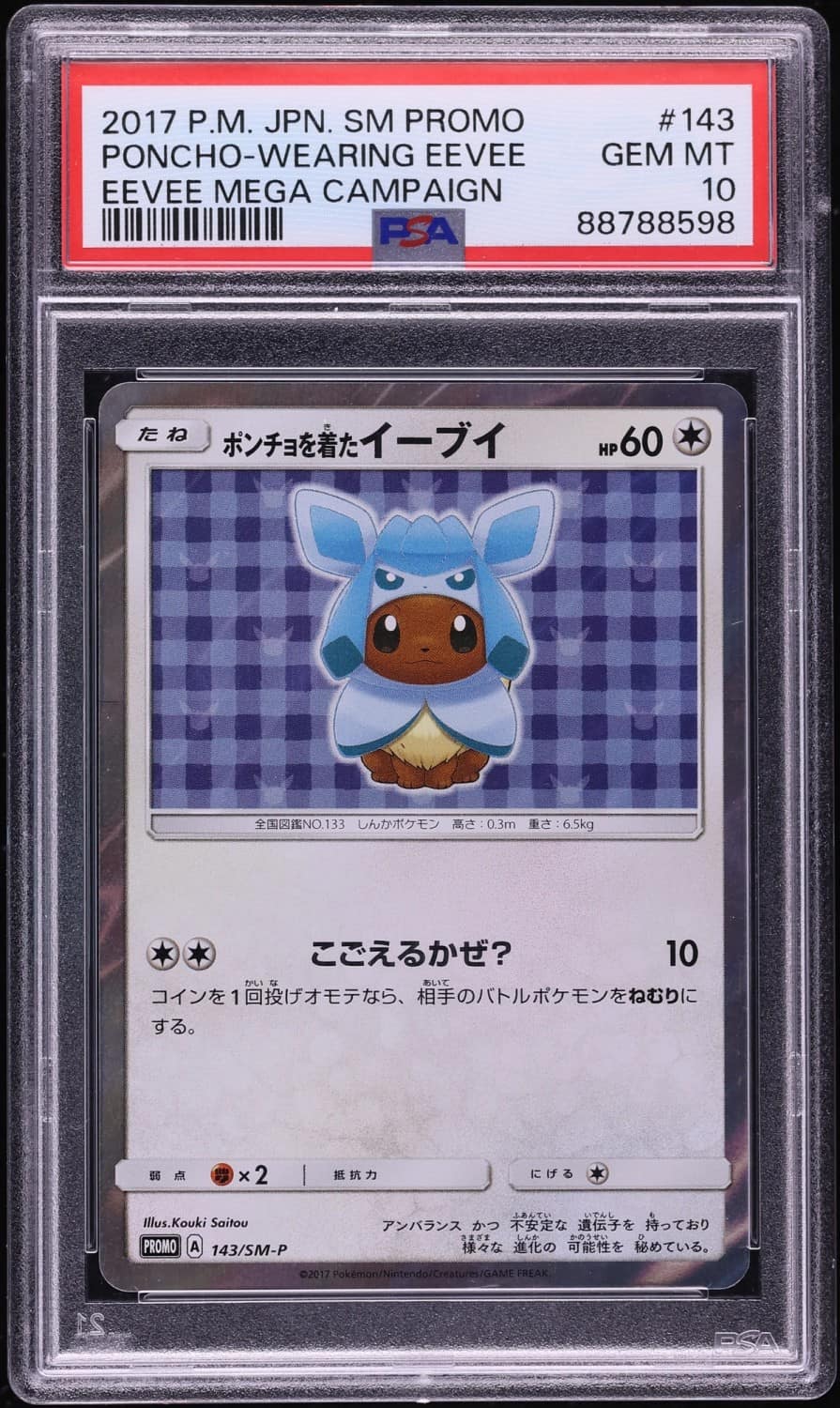 Poncho-Wearing Eevee