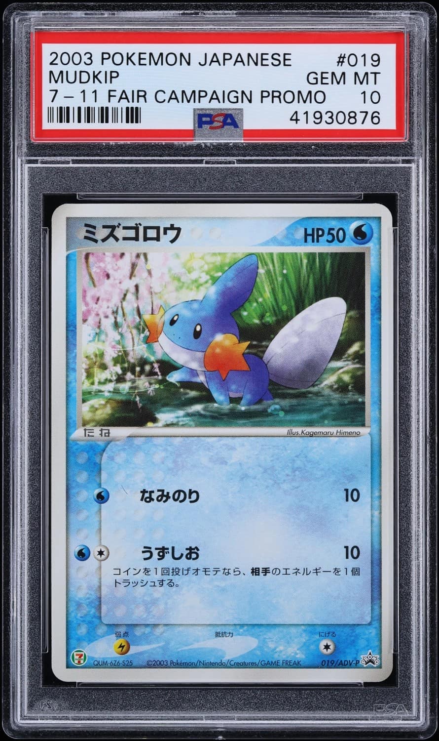 Mudkip