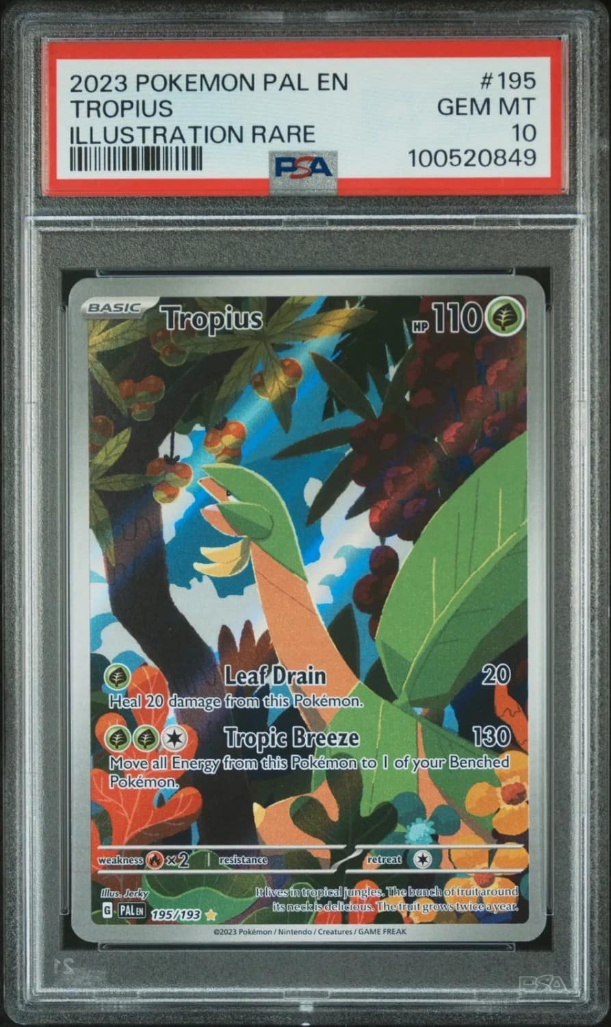 Tropius