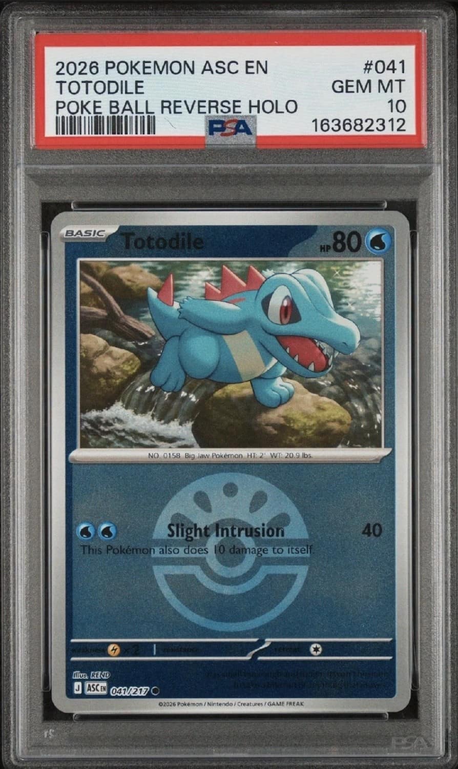 Totodile