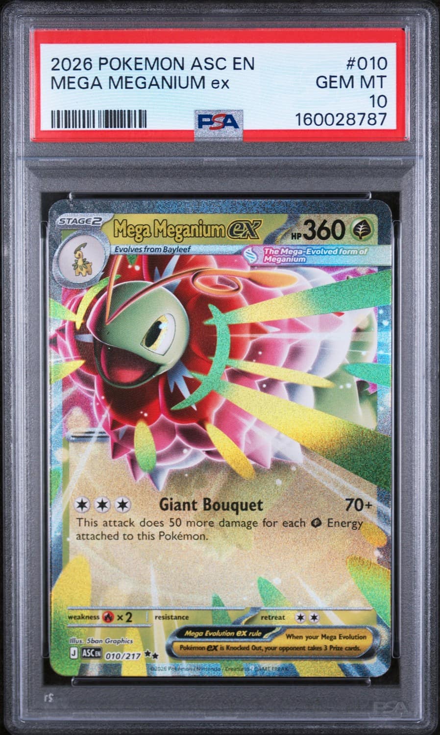 Mega Meganium Ex