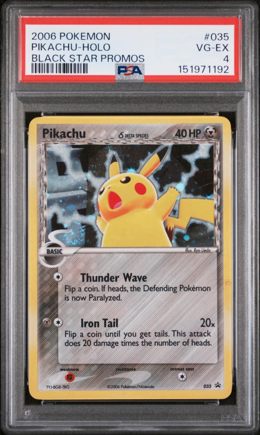 Pikachu D