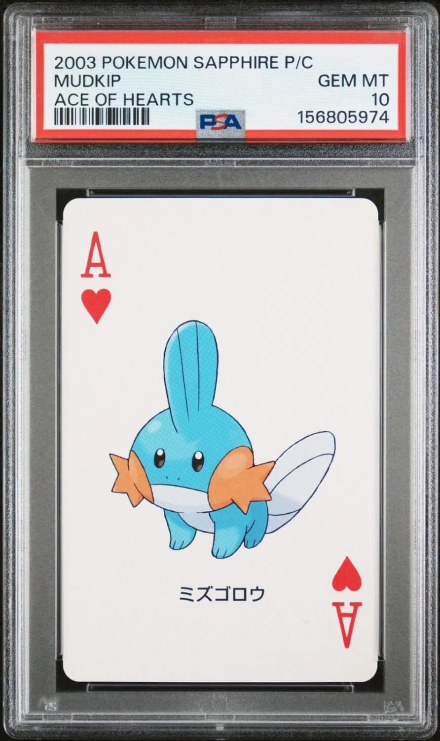 Mudkip