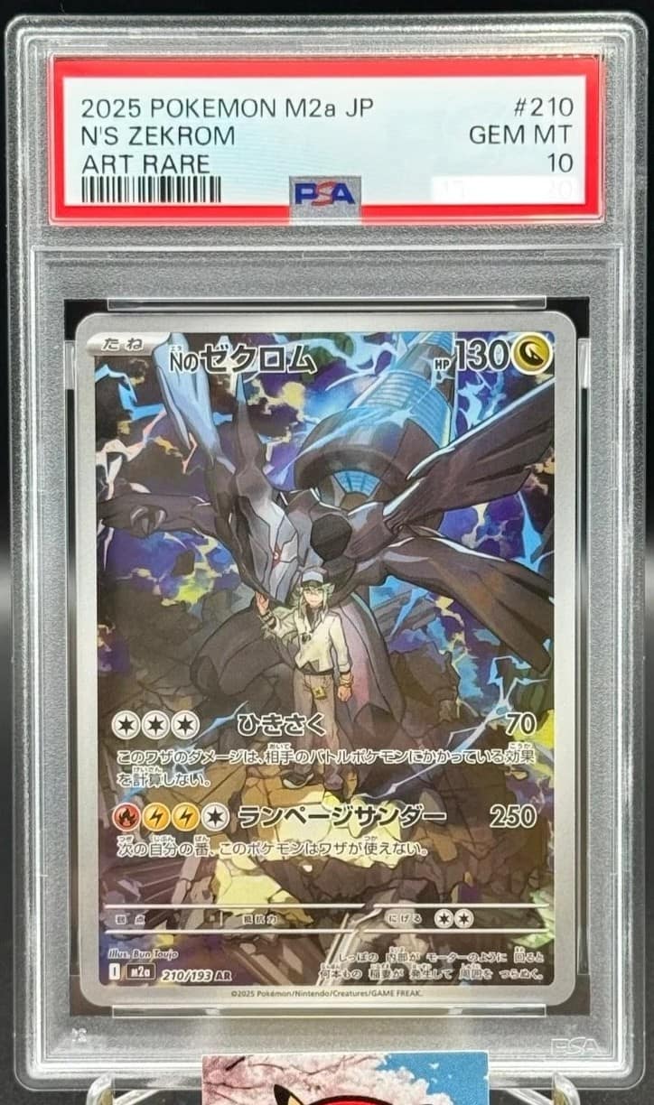 N'S Zekrom