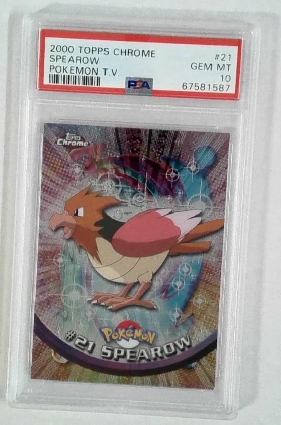 Spearow