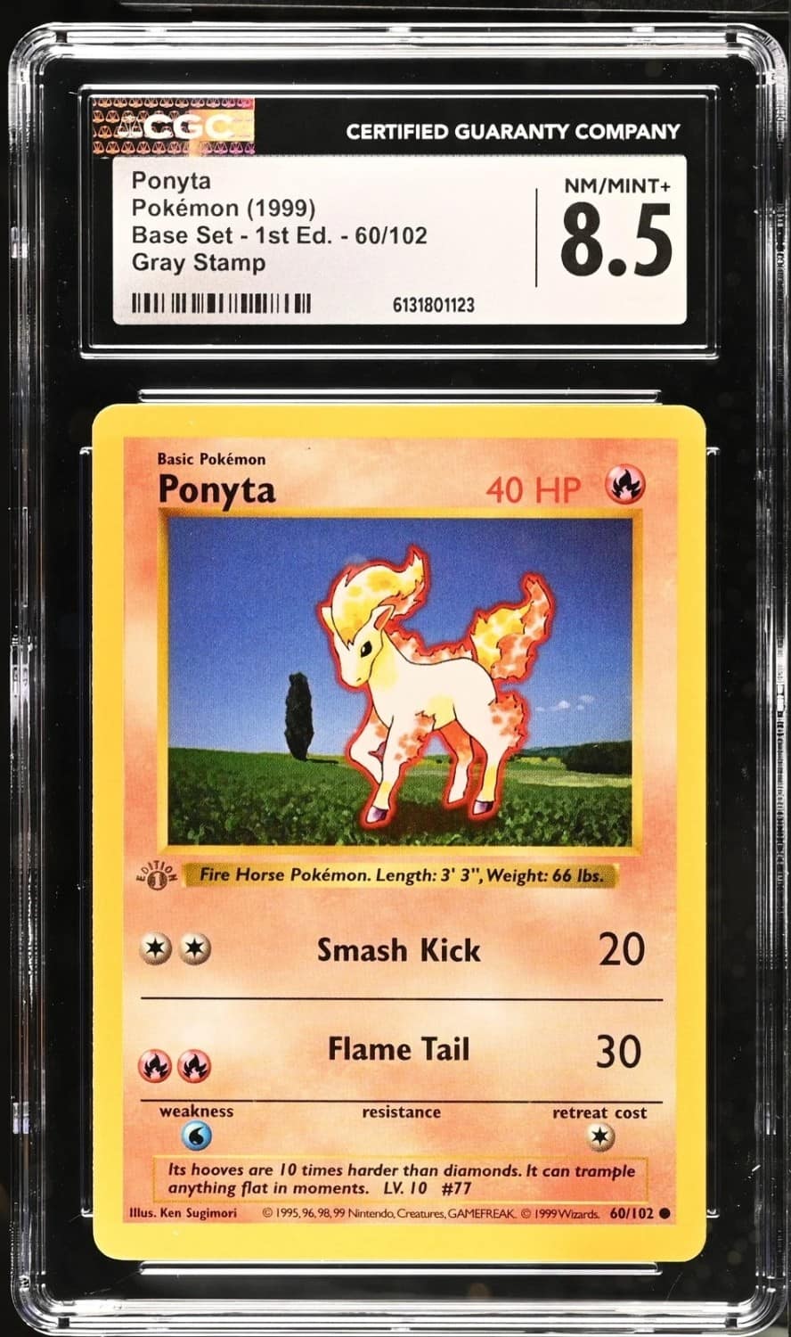 Ponyta