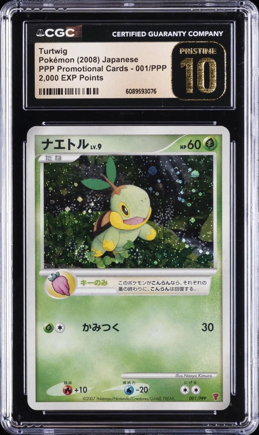 Turtwig