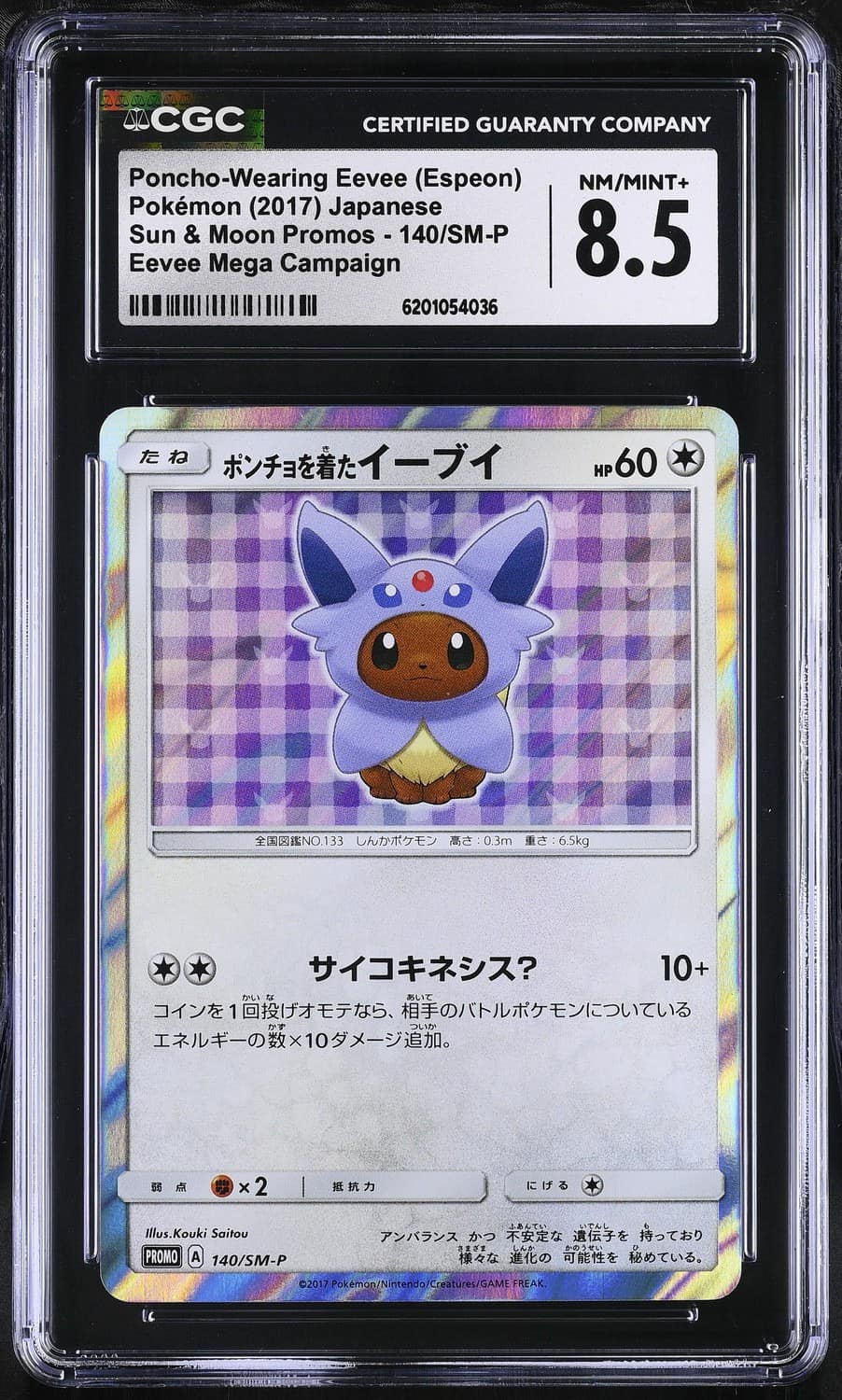 Poncho-Wearing Eevee
