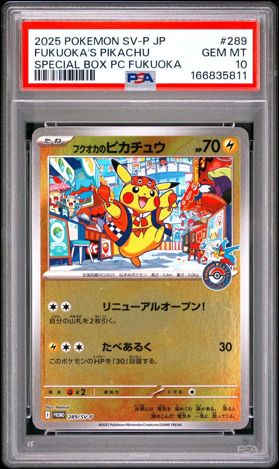 Fukuoka'S Pikachu