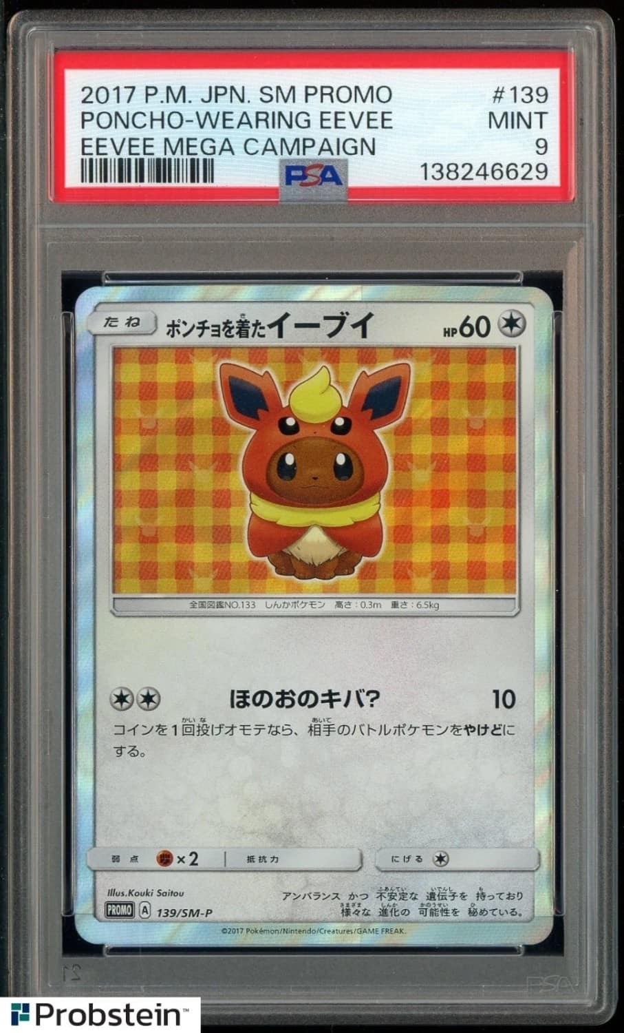 Poncho-Wearing Eevee